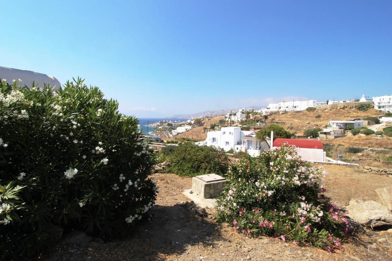 Апарт готель Crystal View Mykonos Mykonos Town Екстер'єр фото